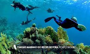 parque marinho de recife de fora porto seguro