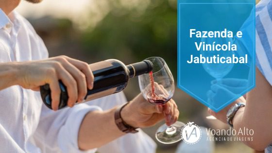 VINICOLA-JABUTICABAL-1